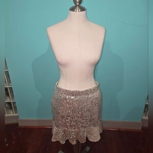 BB Dakota by Steve Madden Silver Sequined Mini Skirt NWT Size Large